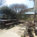 새움민박 이미지