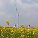 제주의 사색 이미지