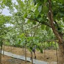 광개토농장 이미지