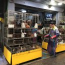 암태면추포도보건진료소 | [블챌] 추석맞이 고향내려가기 + 추석가족(먹방)여행_암태도, 안좌도, 무안 맛집여행