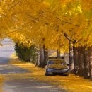 상림주유소 이미지