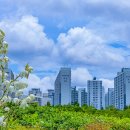 부천중앙공원 이미지