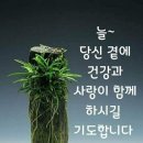 ☆º─+인생살이에 좋은 글 160가지 모음..!! 이미지