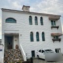 제주 자고가 이미지