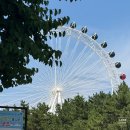 동해안 붉은 대게 | [속초 홍게장 맛집] 밥도둑 인정! 동해안 붉은대게 내돈내산 솔직후기