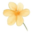 자양 경로당 이미지