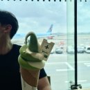 주식회사 오라렌트카 | 무사 또 한라산을 갔능간