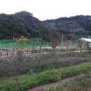 단양배드민턴장 이미지