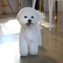 멍분의 멍 이미지