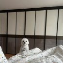 김태주선산곱창남율점 네이버블로그