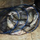 고초골낚시터 이미지