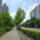 하나아파트 버스정류장 이미지