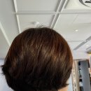 별내테니스장[별내-1] 이미지