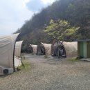 팜스토리 | 청도 감성 글램핑 추천 – 팜스토리 애견동반 글램핑 리얼 후기