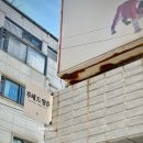 서울 강남 컨셉사진관 루체드앙쥬 시그니처 프로필사진 촬영 후기!