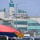 월곡초교 이미지