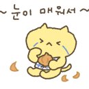 국제목욕탕 이미지