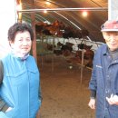 종환농장 이미지