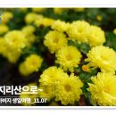 청학하늘정원 이미지