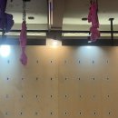 참좋은수양경로당 | 구미 임은동/상모동 멀티월 요가🧘🏻‍♀️코코넛 요가 구미점 솔직후기