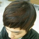 곱슬머리 Daum카페