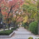 원코리아공인중개사사무소 이미지