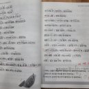 수원-0579 네이버블로그