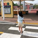 어린이교통공원 이미지