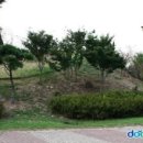 꽃뫼 제사 유적지 네이버블로그