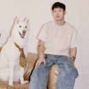 TL 동물병원 이미지