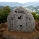 5월 정기산행(남원 봉화산 철쭉산행) 이미지