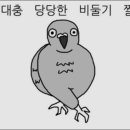 크로스핏 카키 이미지