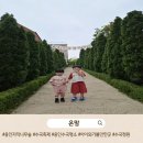 자작나무화원 | 용인자작나무숲 수국축제 후기, 아이들과 3시간 넘게 알차게 놀았어요