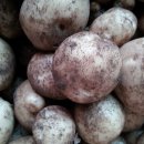 미자네 농장 이미지