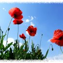 하늘농장6 이미지