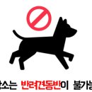 장원한 정려각 이미지