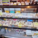 원두댕댕이 이미지