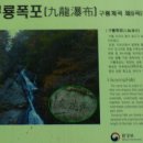 구룡 이미지