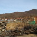 맹3리 Daum카페
