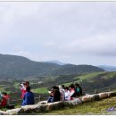 봉평농장 이미지