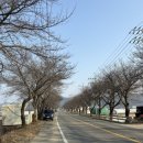 고령IC주유소 이미지