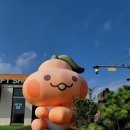 위미위드미 게스트하우스 이미지