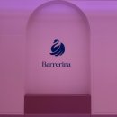 생생1킬로 | 강남 프리미엄 바레 피트니스 바레리나 50파운드 덤벨 들다 1킬로 덤벨 들고 땀 흘린 후기
