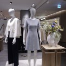 신세계백화점질스튜어트뉴욕