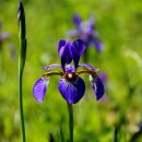 옥산2리 마을회관 이미지