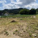 청운(용두)시외버스터미널 이미지