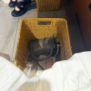 죠죠연남점 | [연남맛집] 일본식 철판요리가 맛있는 오코노미야키 죠죠 연남점 솔직후기!