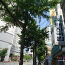 지하철 동의대역 이미지