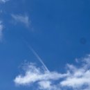 30 | 30대 제네오엑스 후기, 효과 Geneo X