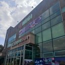 제주오메기떡 섬나라 오메기떡 포장 후기